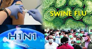प्रदेश में स्वाइन फ्लू से 51 वीं मौत, 234 पहुंची पॉजिटिव की संख्या