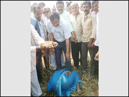 दमोह में कलेक्टर को खेतों में जमी मिली तीन फीट ओले की परत